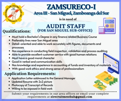 Audit Staff for Area III