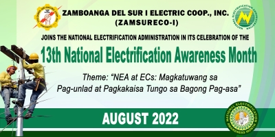 NEA 13th National Electrification Awareness Month (NEAM)