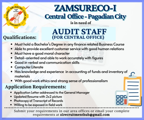 Audit Staff for Area II