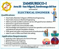 Registered Electrical Engineer